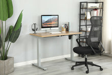 Load image into Gallery viewer, AD-SEH02R Standing Desk Ergonomic Single Motors Lifting Computer Desk With 43.3"-70.9" Desktop